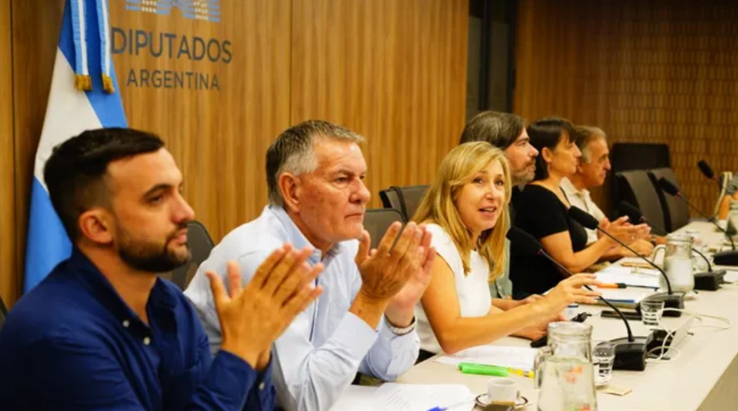 Reforma de la Ley de Glaciares: oposición, científicos y artistas cuestionan el proyecto antes del debate en Diputados